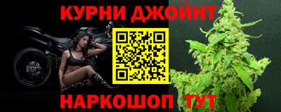 сатива Краснознаменск