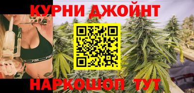 сатива Краснознаменск
