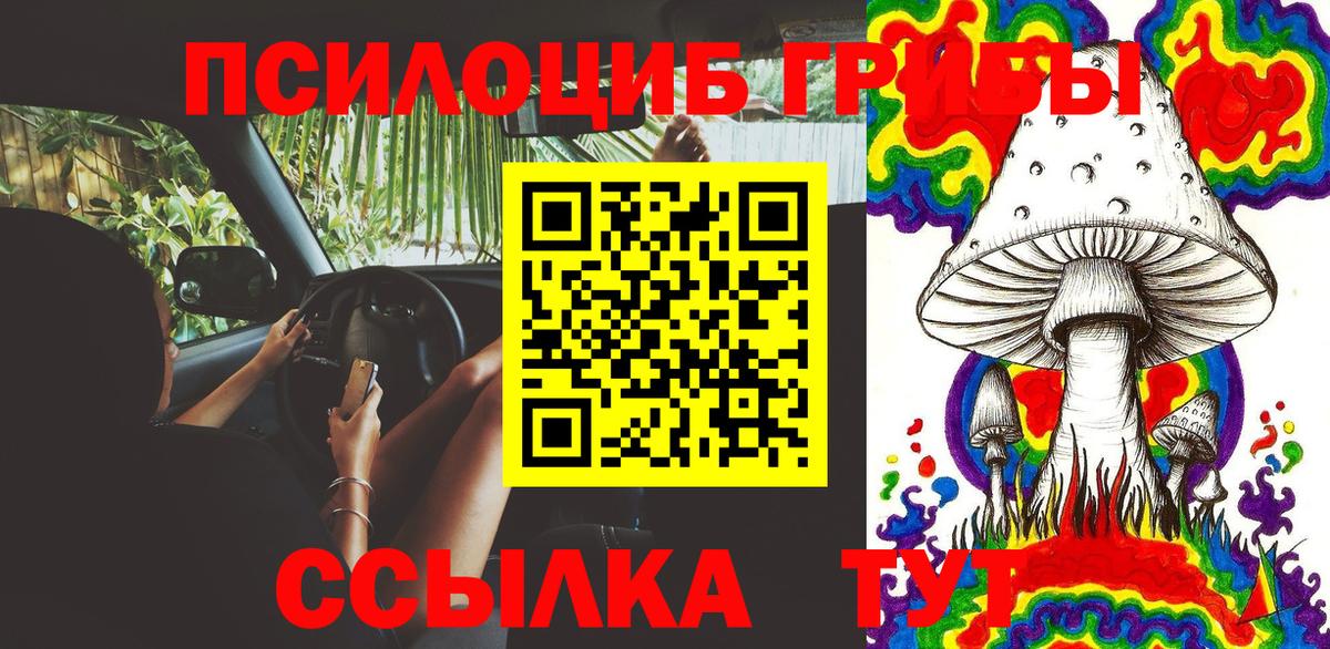 Галлюциногенные грибы Cubensis  Псилоцибиновые грибы MAGIC MUSHROOMS  Йошкар-Ола  Вход с VPN 
